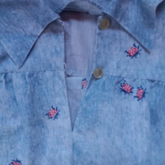 True Vintage Women's Medium Peasant Blouse 1970s Ladybug Handmade Pullover Moo - Picture 3 of 7